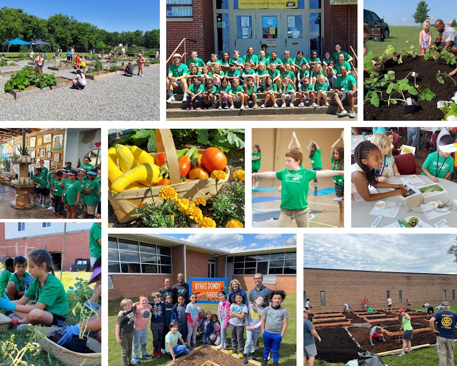 VBF Homepage Photo Collage - Desktop