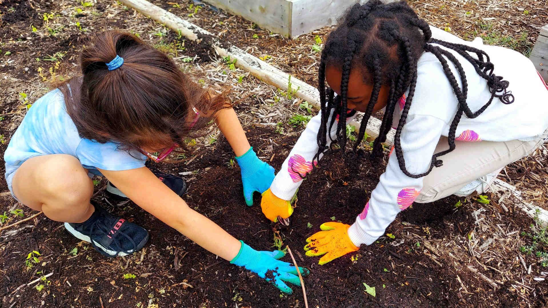 Children Working In The Garden